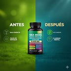 Más energía, mejor ánimo y un cuerpo equilibrado — todo en un solo suplemento 8 en 1